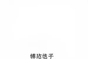 宠物医院收费争议的账单拆解封面